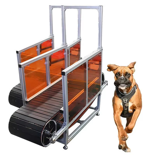 Modular Dog Training Treadmill Machine Dog Smooth Running Slatmill Pet Fitness Extrusion Aluminium Training Machine Treadmill